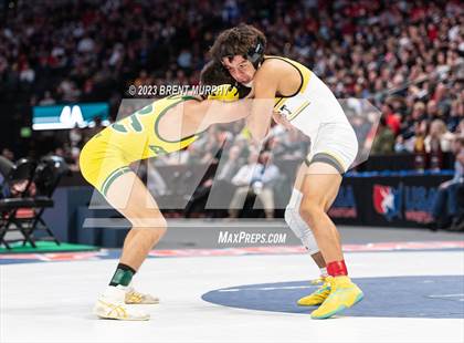 Thumbnail 1 in CHSAA State Championship - 4A Finals photogallery.