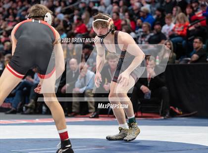 Thumbnail 1 in CHSAA State Championship - 4A Finals photogallery.