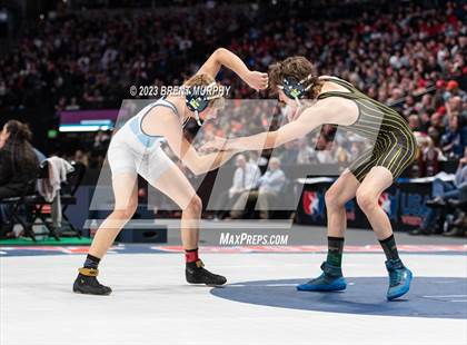 Thumbnail 2 in CHSAA State Championship - 4A Finals photogallery.