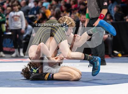 Thumbnail 1 in CHSAA State Championship - 4A Finals photogallery.
