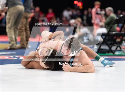 Thumbnail 1 in CHSAA State Championship - 4A Finals photogallery.