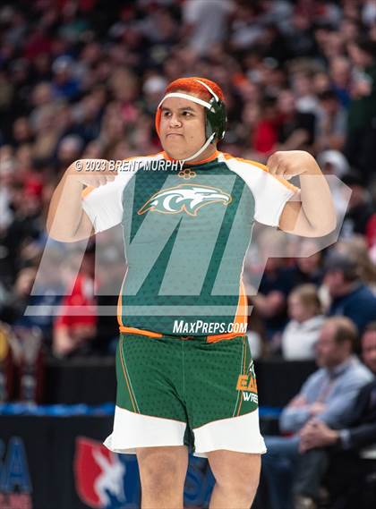 Thumbnail 3 in CHSAA State Championship - 4A Finals photogallery.