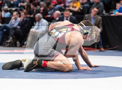 Thumbnail 3 in CHSAA State Championship - 4A Finals photogallery.