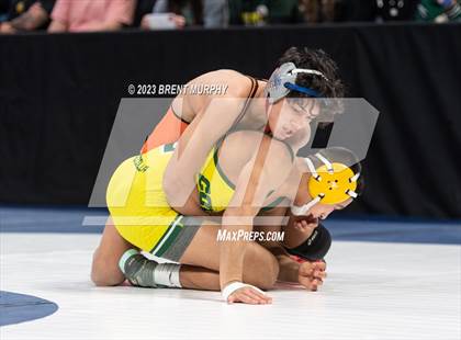 Thumbnail 3 in CHSAA State Championship - 4A Finals photogallery.