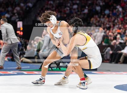 Thumbnail 1 in CHSAA State Championship - 4A Finals photogallery.