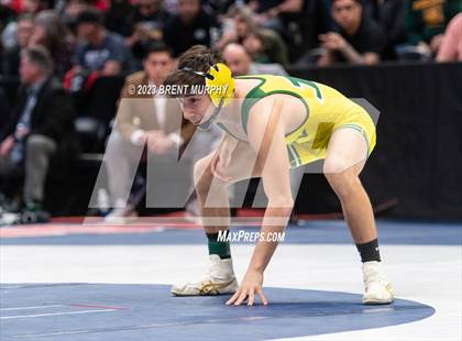 Thumbnail 3 in CHSAA State Championship - 4A Finals photogallery.