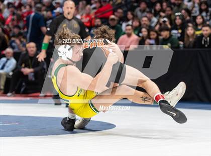 Thumbnail 1 in CHSAA State Championship - 4A Finals photogallery.