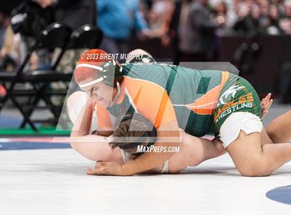 Thumbnail 1 in CHSAA State Championship - 4A Finals photogallery.