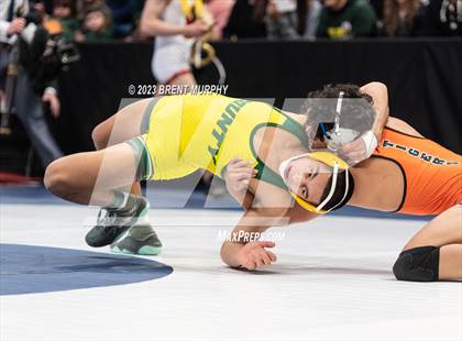 Thumbnail 2 in CHSAA State Championship - 4A Finals photogallery.