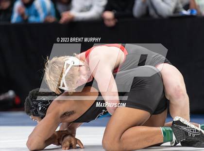 Thumbnail 1 in CHSAA State Championship - 4A Finals photogallery.