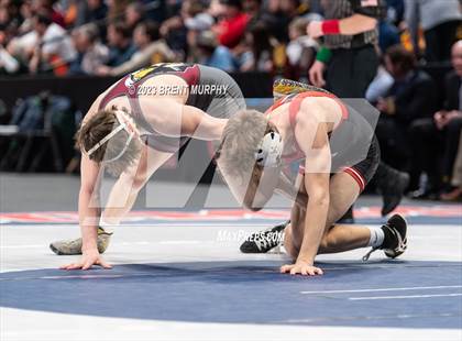 Thumbnail 3 in CHSAA State Championship - 4A Finals photogallery.