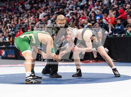 Thumbnail 2 in CHSAA State Championship - 4A Finals photogallery.