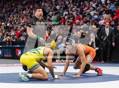 Thumbnail 3 in CHSAA State Championship - 4A Finals photogallery.