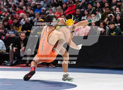 Thumbnail 2 in CHSAA State Championship - 4A Finals photogallery.