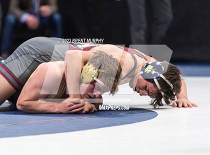 Thumbnail 1 in CHSAA State Championship - 4A Finals photogallery.