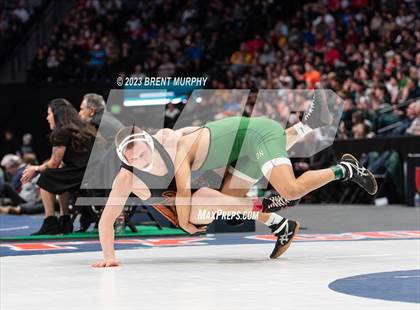 Thumbnail 3 in CHSAA State Championship - 4A Finals photogallery.
