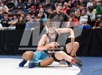 Thumbnail 1 in CHSAA State Championship - 4A Finals photogallery.