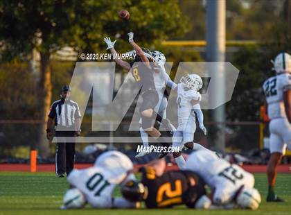 Thumbnail 2 in Spring vs Klein Oak photogallery.