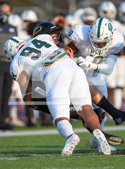 Thumbnail 1 in Spring vs Klein Oak photogallery.