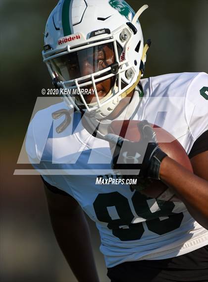 Thumbnail 1 in Spring vs Klein Oak photogallery.