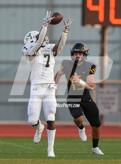 Thumbnail 1 in Spring vs Klein Oak photogallery.
