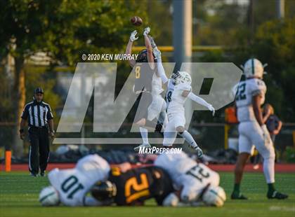 Thumbnail 1 in Spring vs Klein Oak photogallery.