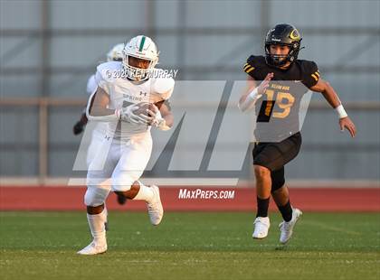 Thumbnail 1 in Spring vs Klein Oak photogallery.