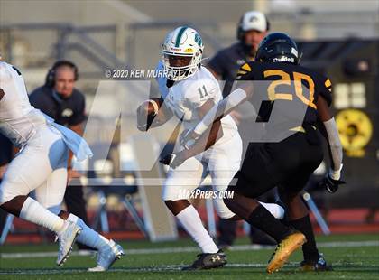 Thumbnail 3 in Spring vs Klein Oak photogallery.