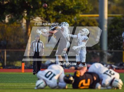 Thumbnail 3 in Spring vs Klein Oak photogallery.