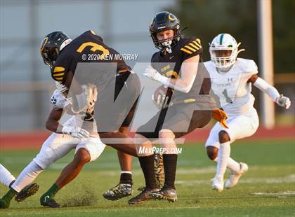 Thumbnail 2 in Spring vs Klein Oak photogallery.