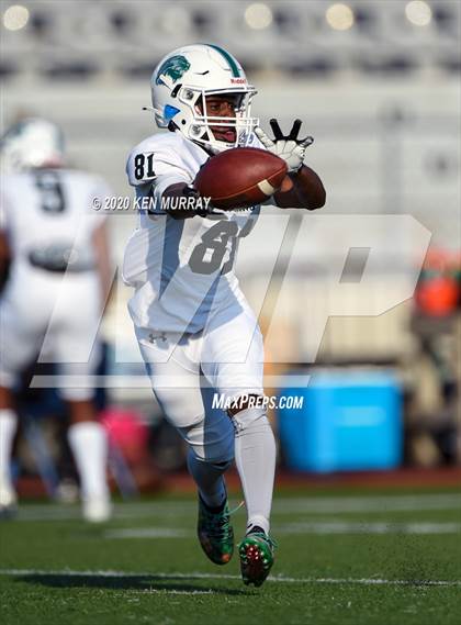 Thumbnail 2 in Spring vs Klein Oak photogallery.
