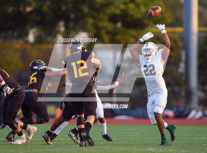 Thumbnail 3 in Spring vs Klein Oak photogallery.