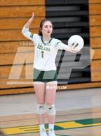 Photo from the gallery "DeLand vs Timber Creek (FHSAA 7A Region 1 Regional Quarterfinal)"