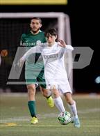 Photo from the gallery "Monterey Trail @ Kennedy"