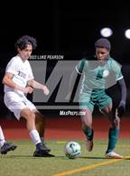 Photo from the gallery "Monterey Trail @ Kennedy"