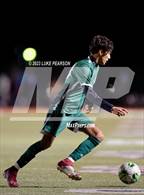 Photo from the gallery "Monterey Trail @ Kennedy"