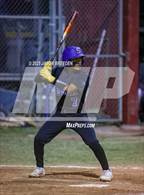 Photo from the gallery "Vela @ Pioneer"