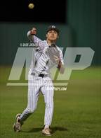 Photo from the gallery "Vela @ Pioneer"