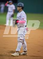 Photo from the gallery "Vela @ Pioneer"