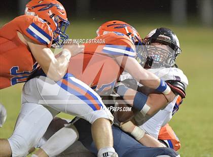 Thumbnail 3 in Palm Harbor University @ Osceola photogallery.