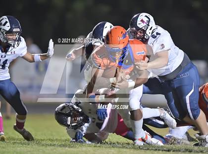 Thumbnail 2 in Palm Harbor University @ Osceola photogallery.