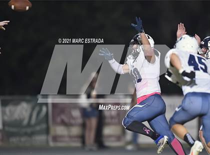 Thumbnail 1 in Palm Harbor University @ Osceola photogallery.