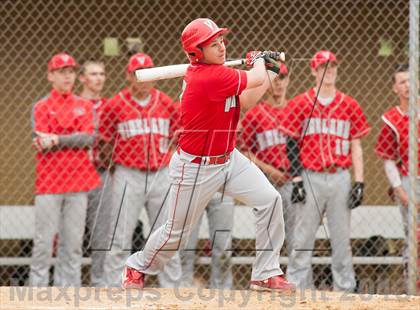 Thumbnail 2 in Vineland @ Absegami photogallery.