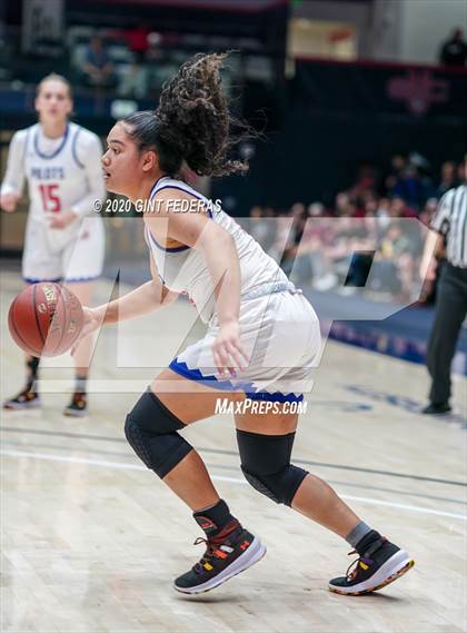 Thumbnail 2 in Cardinal Newman vs. St. Joseph Notre Dame (CIF NCS Open Division Final) photogallery.