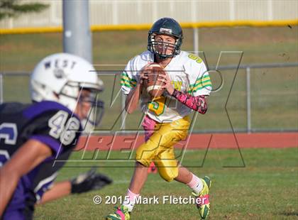 Thumbnail 2 in Clearview @ Cherry Hill West photogallery.