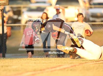 Thumbnail 2 in Santo @ Millsap photogallery.