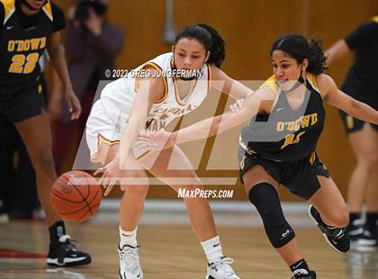 Thumbnail 1 in Bishop O'Dowd @ Cardinal Newman (CIF NCS Open Division Playoffs) photogallery.