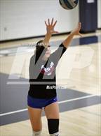 Photo from the gallery "Folsom @ Oak Ridge"