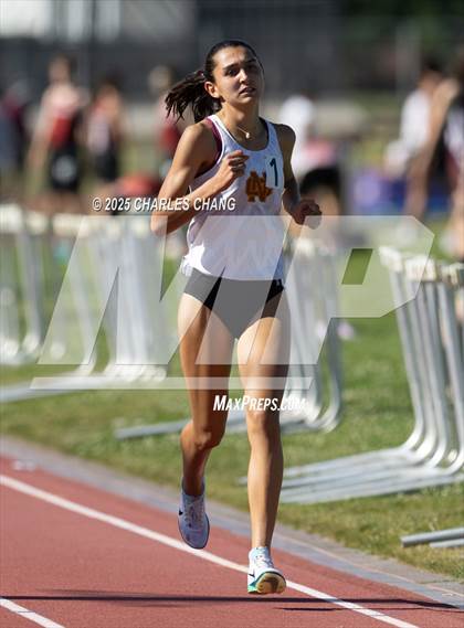 Thumbnail 2 in NBL Championships (1600M) photogallery.