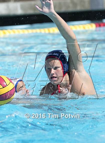 Thumbnail 3 in Great Oak vs Belmont photogallery.
